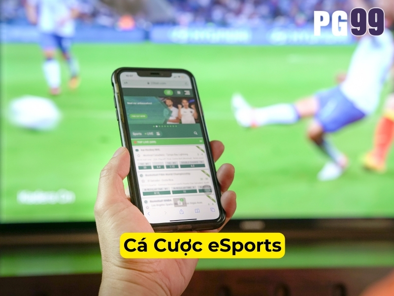 Cá cược Esports